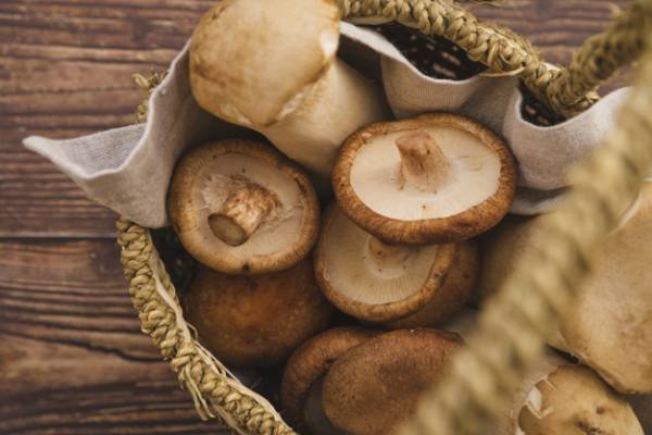 Home remedies for cholesterol with mushrooms