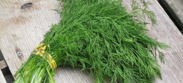 Properties of dill
