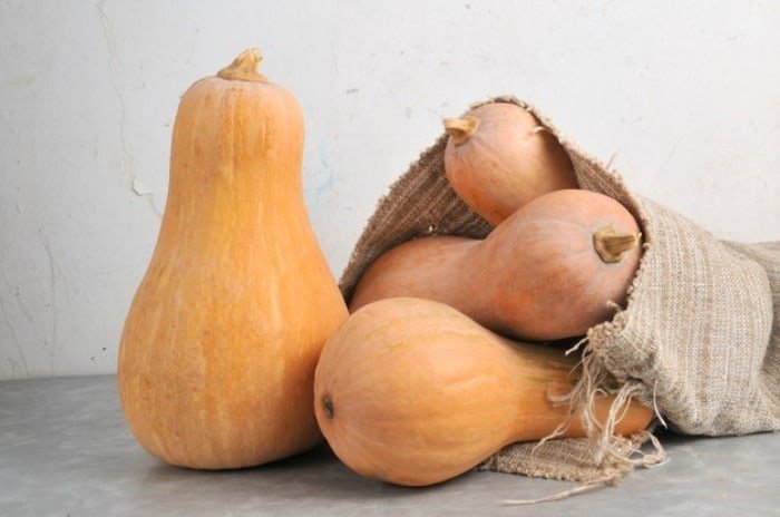 What benefits does pumpkin have?