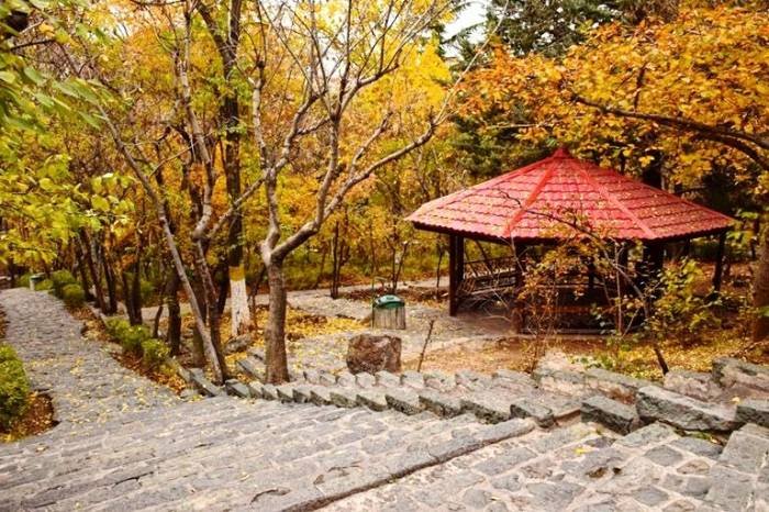 Free training this week on Farafars' platform is something you don't want to miss! 🎉 Tourist Attractions of Tehran in Autumn