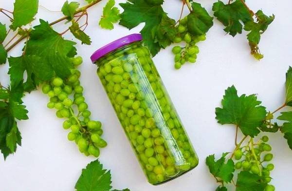 Sour Grapes Preparation