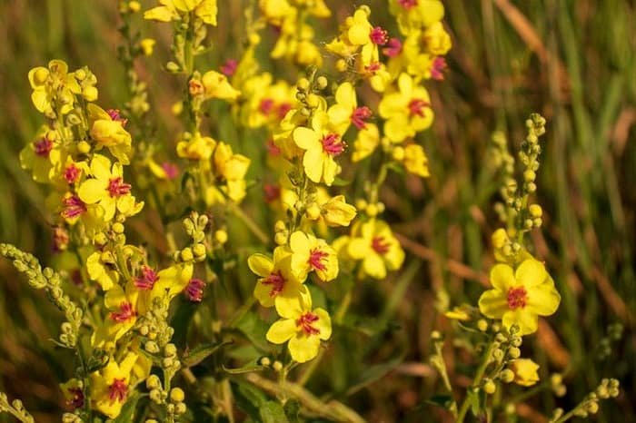 <trans_147></trans_147> <trans_146></trans_146>