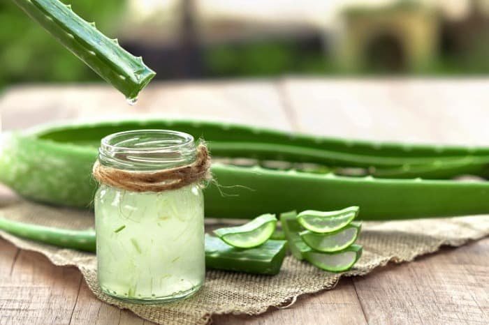 All benefits and drawbacks of Aloe Vera juice for the body Consuming Aloe Vera juice