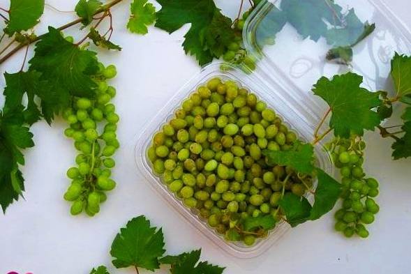 Frozen Sour Grapes