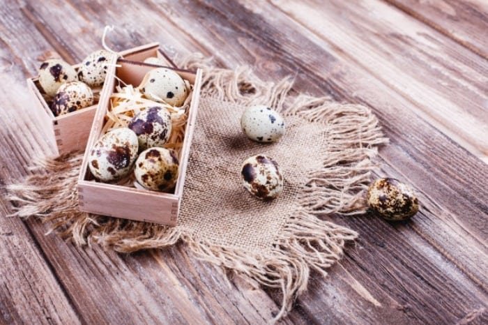 Properties of quail eggs