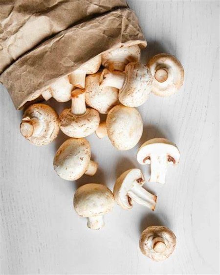 Storing Fresh Mushrooms Preventing Mushroom Color Change, Freezing Mushrooms without Blackening
