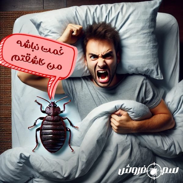 What is a bed bug? A simple way to eliminate bed bugs