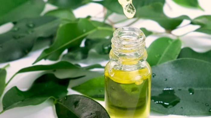Tea tree oil is one of the bleach alternatives
