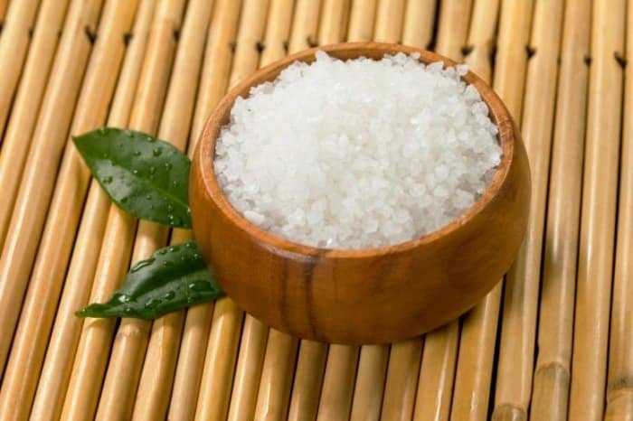Benefits of coconut