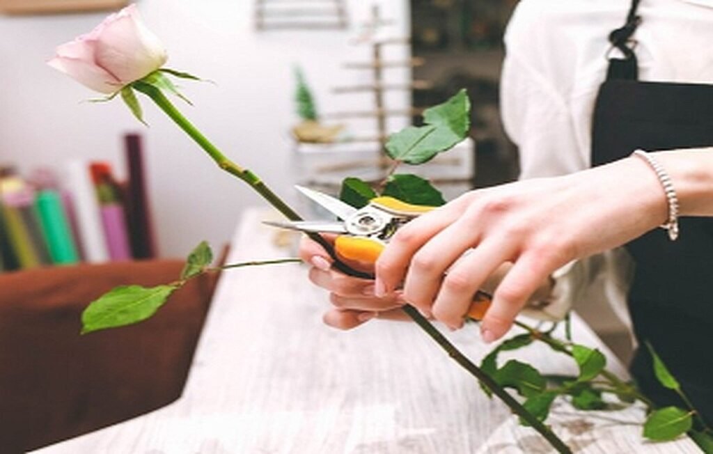 Enhancing the Lifespan of Cut Flowers: Expert Tips