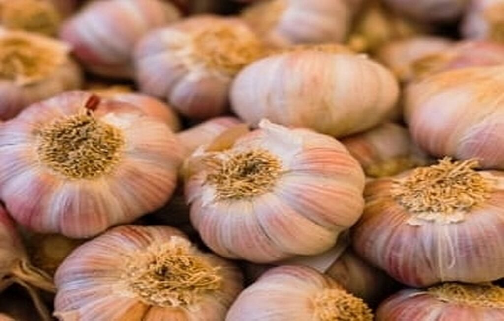 Is eating raw garlic more beneficial than cooked garlic? + The right way to eat garlic