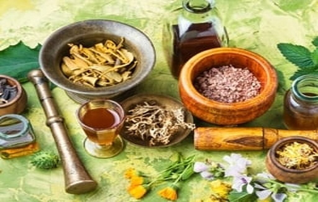 The King of Herbal Plants and the Benefits of Various Herbal Plants