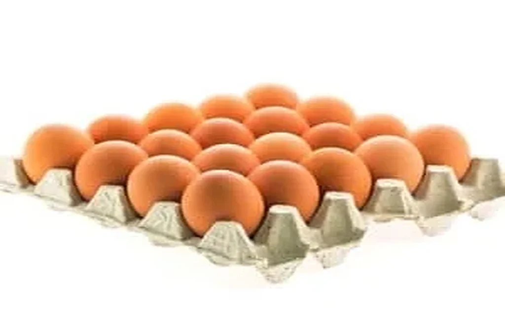 Make Strengthening and Shiny Hair Shampoo with Eggs + Method